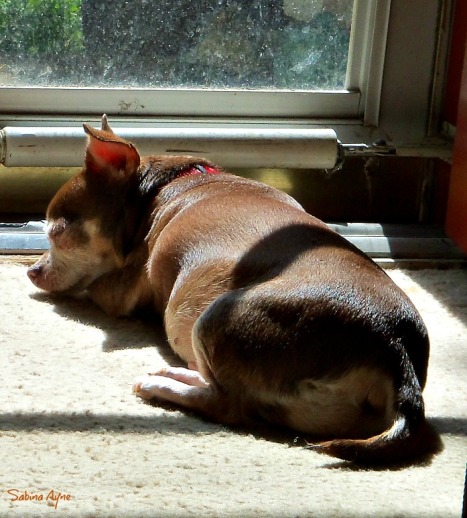 She loved taking sunbaths!