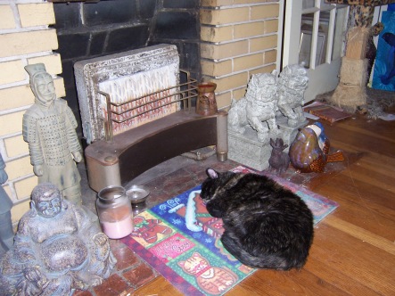 As she got older she became more sensitive to the cold and loved snoozing closest to any heat source available.